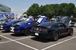 DSC_6959.jpg