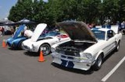DSC_6962.jpg
