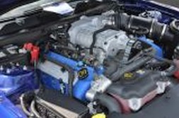 DSC_6963.jpg