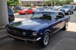 DSC_6967.jpg