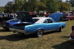 DSC_1786.jpg