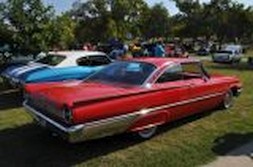 DSC_1800.jpg