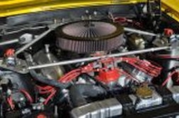 DSC_8696.jpg