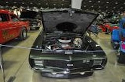 DSC_4894.jpg