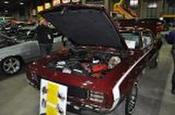 DSC_4923.jpg