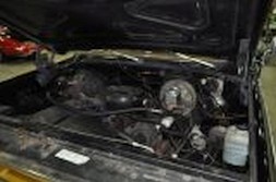 DSC_4967.jpg