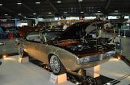 DSC_5391.jpg
