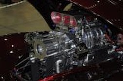DSC_5397.jpg