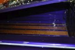 DSC_5451.jpg