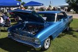 DSC_6108.jpg
