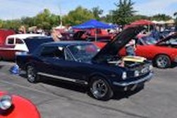 DSC_6127.jpg