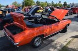 DSC_6176.jpg