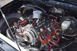 DSC_6187.jpg