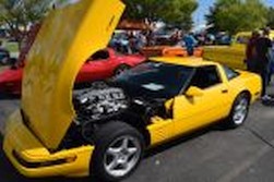 DSC_6197.jpg