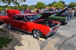 DSC_6213.jpg