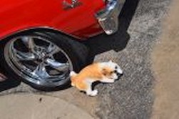 DSC_6214.jpg