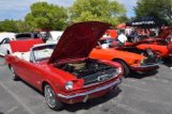 DSC_6221.jpg