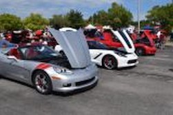 DSC_6229.jpg