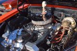 DSC_8282.jpg
