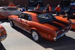 DSC_8286.jpg