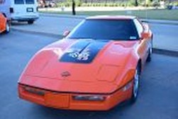 DSC_8384.jpg
