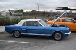DSC_4180.jpg