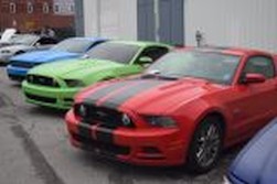 DSC_4182.jpg