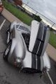 DSC_4199.jpg