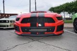 DSC_4203.jpg