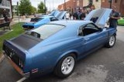 DSC_4224.jpg