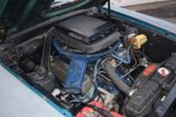DSC_4238.jpg