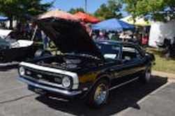 DSC_4284.jpg