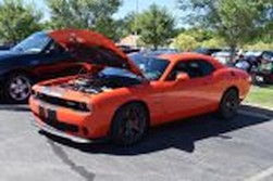 DSC_4293.jpg