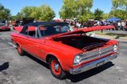 DSC_4308.jpg