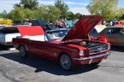 DSC_4326.jpg