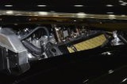 DSC_0031.jpg