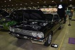 DSC_9556.jpg