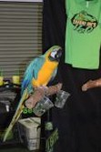 DSC_9699.jpg