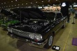 DSC_9979.jpg
