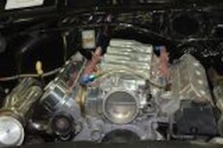 DSC_9983.jpg