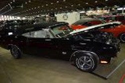 DSC_9994.jpg