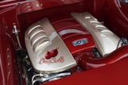 DSC_1000106.jpg