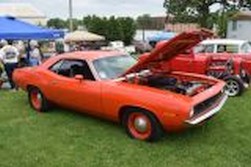DSC_100047.jpg