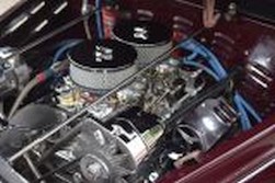 DSC_100091.jpg