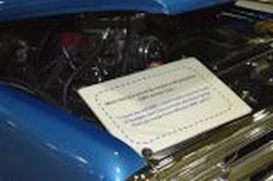 DSC_7972.jpg