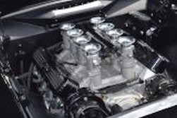 DSC_7551.jpg