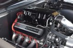 DSC_7696.jpg