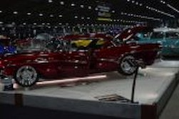  photo DSC_5174.jpg