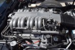DSC_1562.jpg