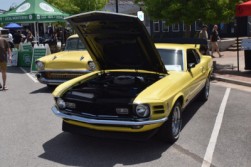 DSC_5634.jpg